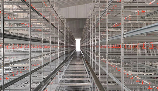 山东潍坊现代食品（360万蛋鸡）全产业链